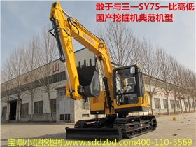 寶鼎小型挖掘機(jī)械