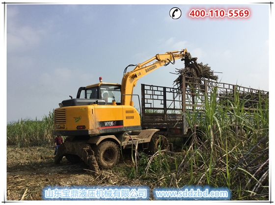 山東寶鼎挖掘機(jī)廠家蔗木裝卸機(jī)產(chǎn)品