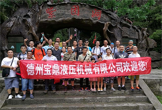寶鼎挖掘機(jī)抓木機(jī)廠家