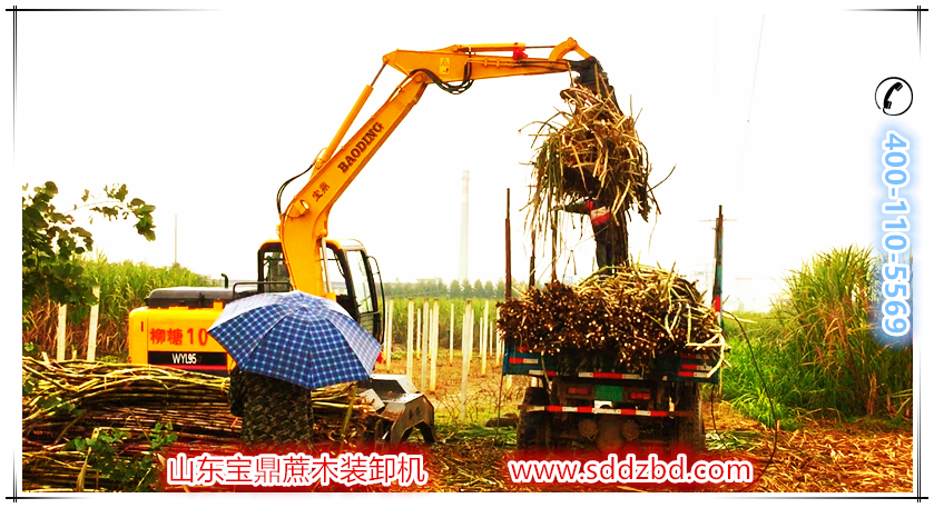 寶鼎蔗木裝卸機(jī)產(chǎn)品