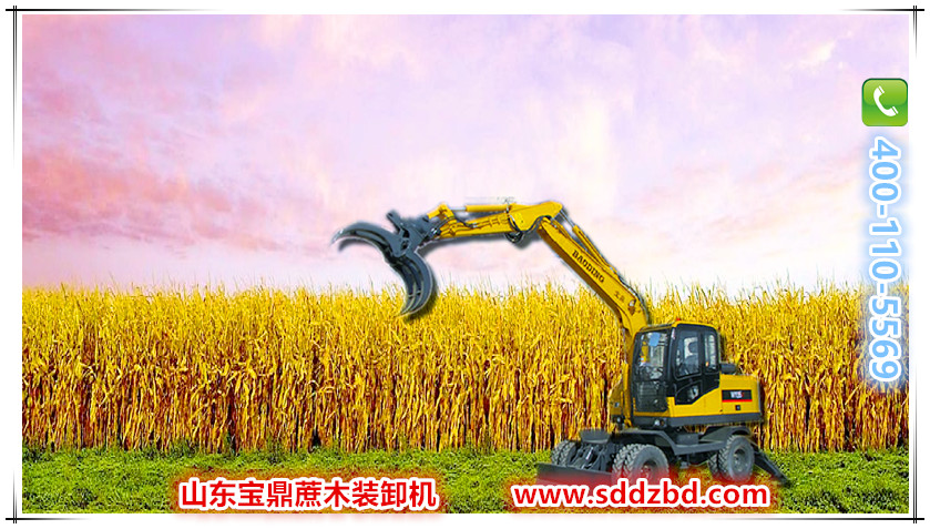 寶鼎蔗木裝卸機(jī)產(chǎn)品