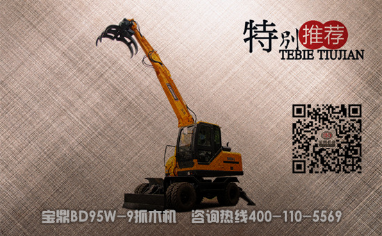 寶鼎挖掘機(jī)抓木機(jī)設(shè)備