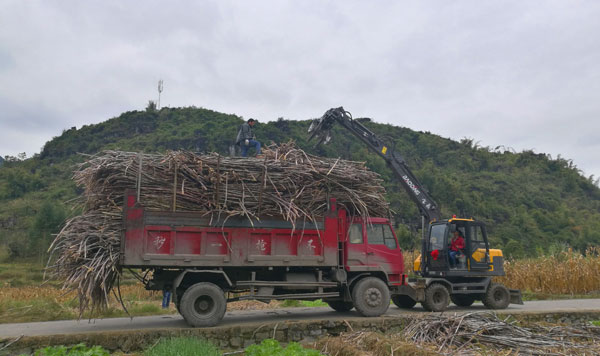 輪式挖掘機(jī)抓木機(jī)作業(yè).jpg