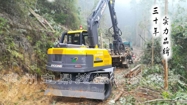 寶鼎95抓木機(jī)車型.jpg