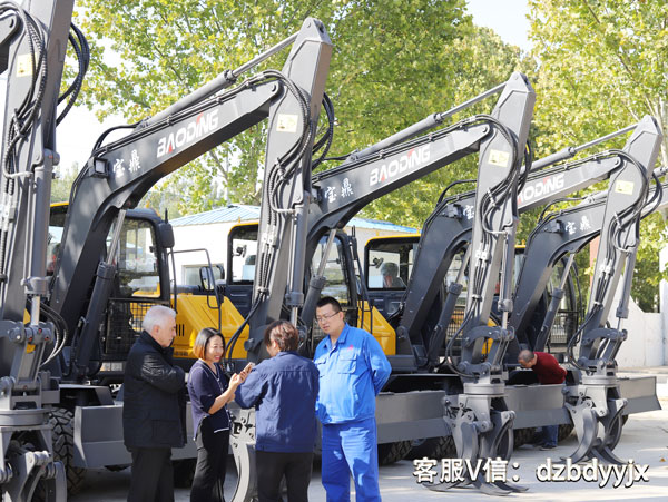 寶鼎輪式挖掘機廠家.jpg
