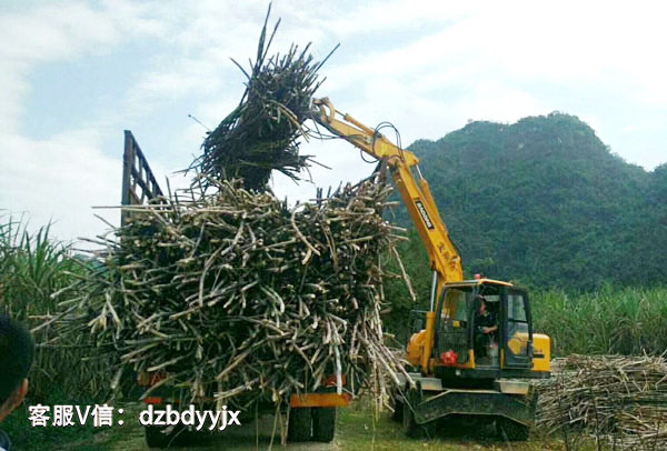 寶鼎輪式抓木機(jī).jpg