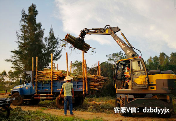 市場上的寶鼎抓木機(jī)車型.jpg