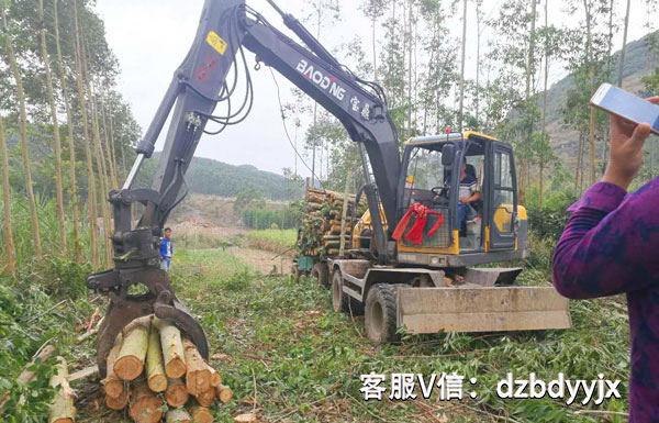 寶鼎95抓木機(jī)桉樹(shù)裝車作業(yè).jpg
