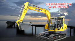 細節(jié)決定成敗，寶鼎小型挖掘機廠家產品沒有做不到只有您想不到