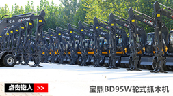 寶鼎抓木機廠家銷售持續(xù)發(fā)力BD95W-9A型號抓木機2019表現(xiàn)搶眼